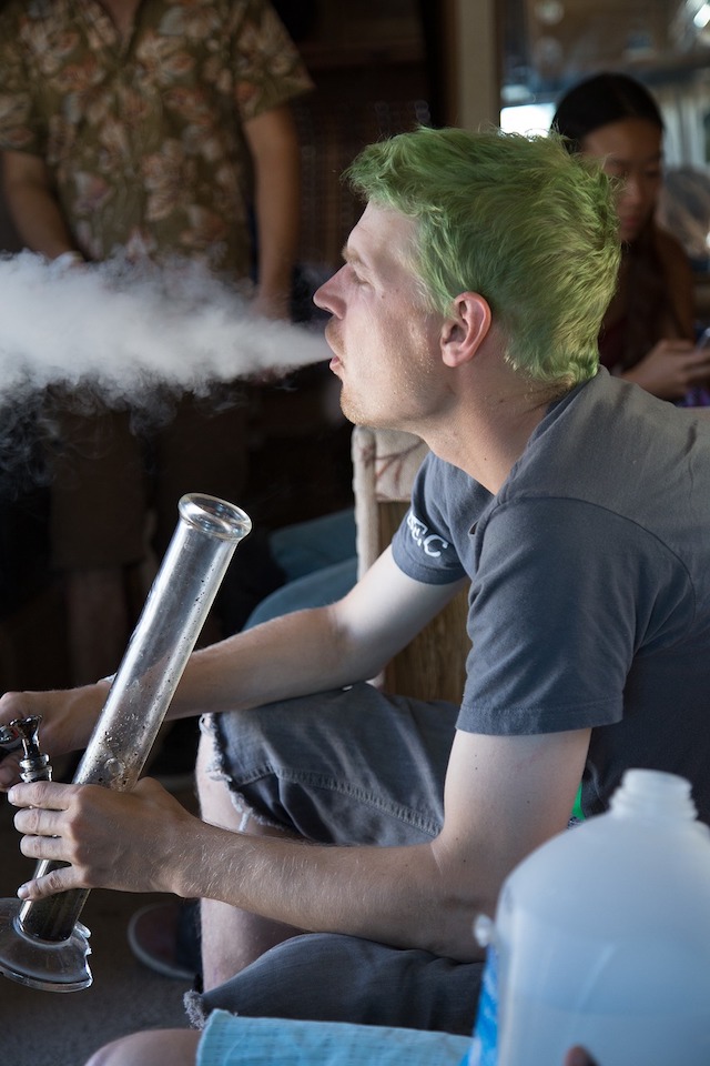 THC is The Primary Psychoactive Cannabinoid