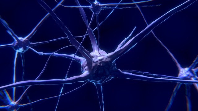CBC Has Been Shown To Promote Neurogenesis