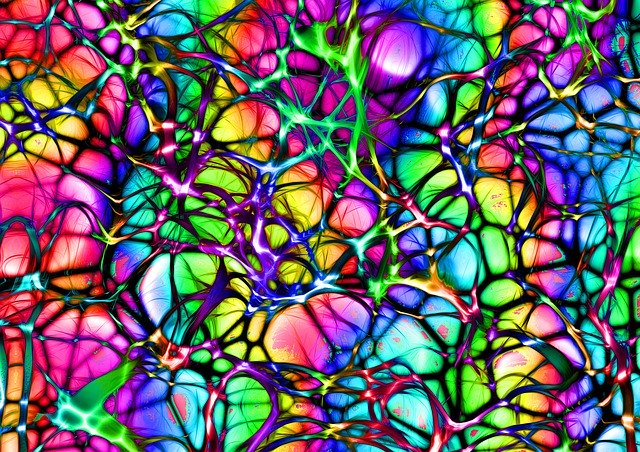 Everyone's Body Has an Endocannabinoid System