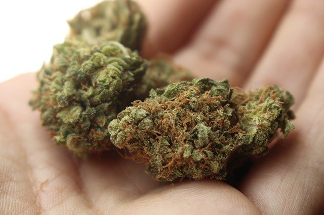 Cannabinoids Can Deteriorate
