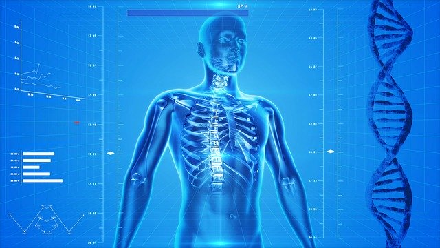 Our Bodies Make Their Own Cannabinoids